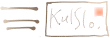 Mnenja