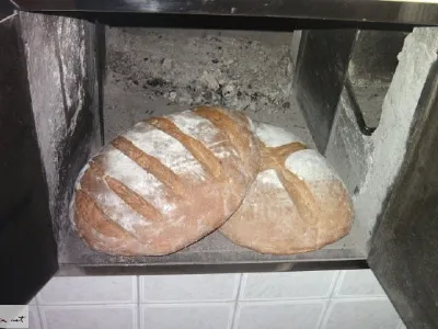 Ržen kruh iz krušne peči