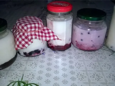Domači navadni ali sadni jogurt