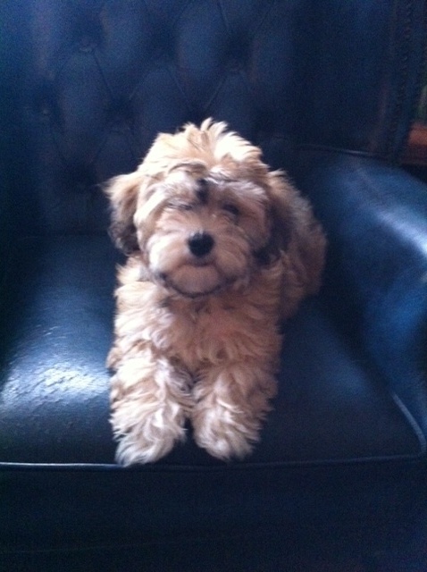 fotografijaca6cbwjb_595 fotografijaca6cbwjb_595