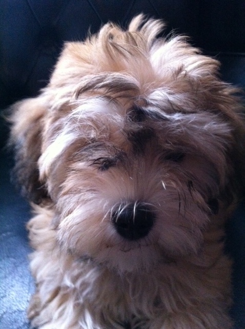 fotografijacapwgfuw_595 fotografijacapwgfuw_595