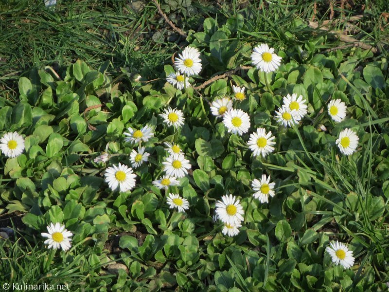 Fužinski utrinki - 2016