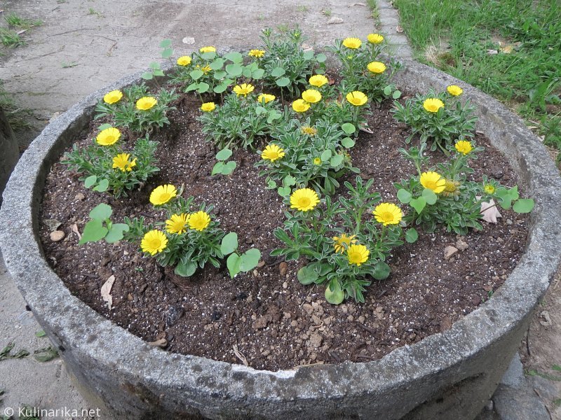 Fužinski utrinki - 2016