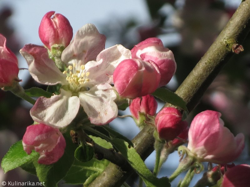 Fužinski utrinki - 2016