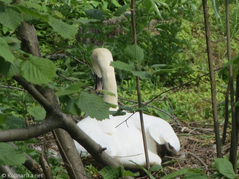 Fužinski utrinki - 2016