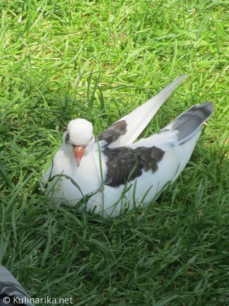 Fužinski utrinki - 2016