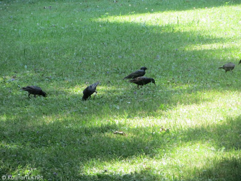 Fužinski utrinki - 2016