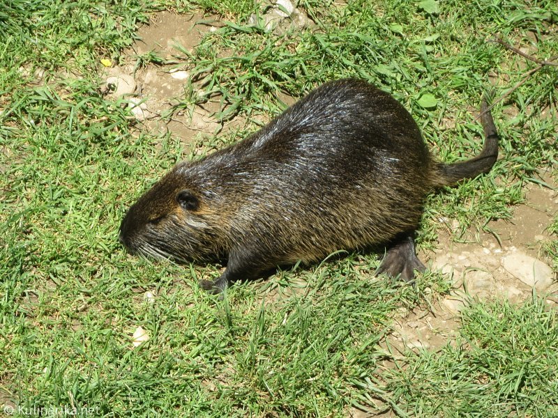 Fužinski utrinki - 2016