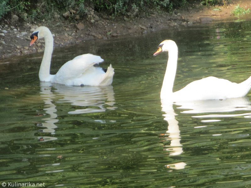 Fužinski utrinki - 2016