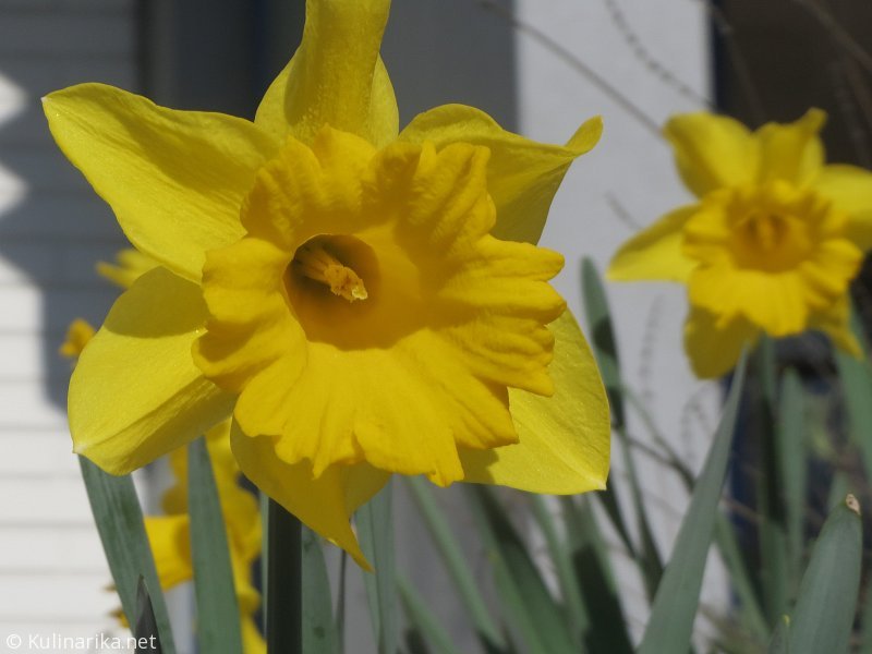 Fužinski utrinki - 2016