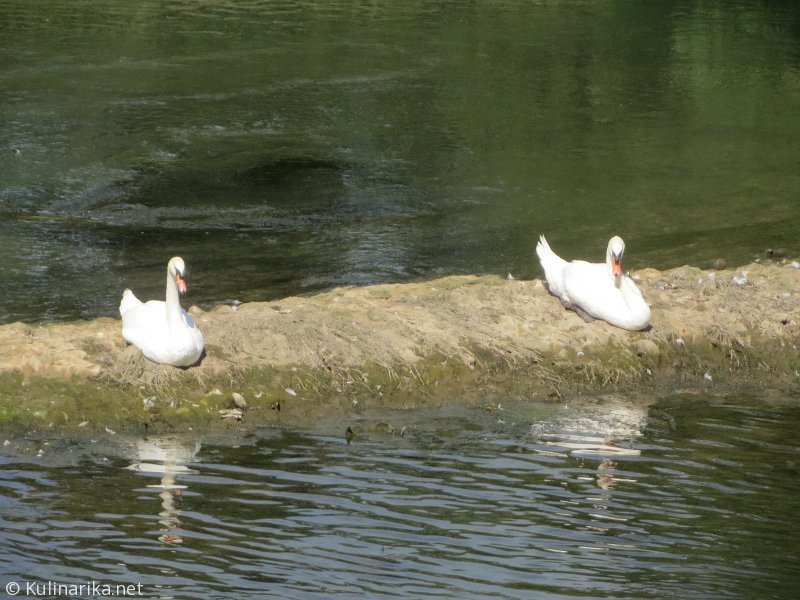 Fužinski utrinki - 2016