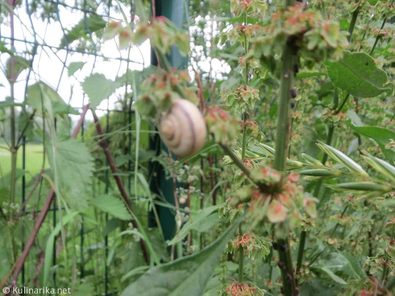 Fužinski utrinki - 2016