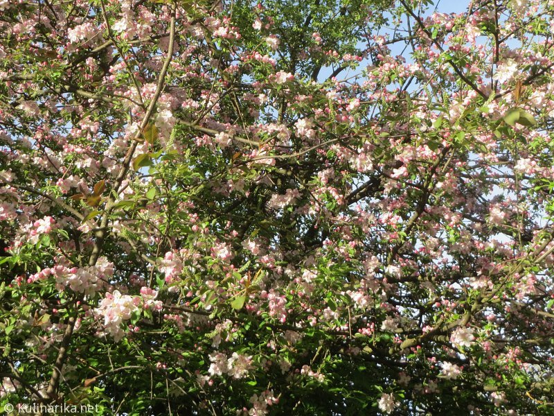 Fužinski utrinki - 2016