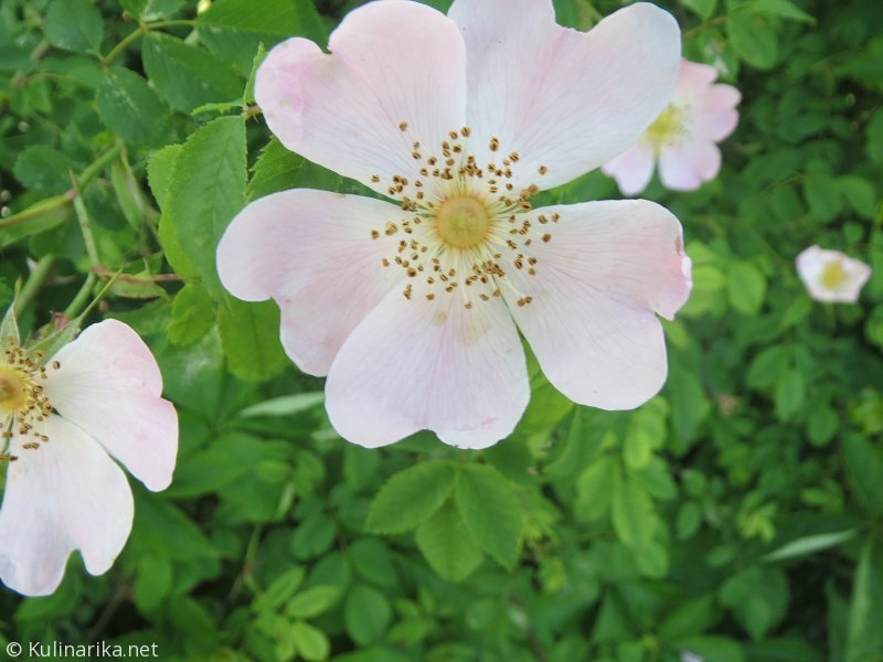 Fužinski utrinki - 2016