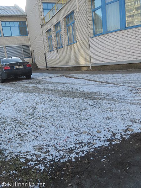 Fužinski utrinki - 2016