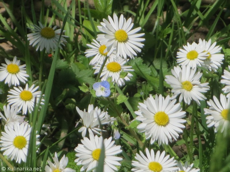 Fužinski utrinki - 2016
