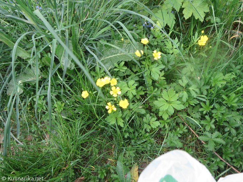 Fužinski utrinki - 2016