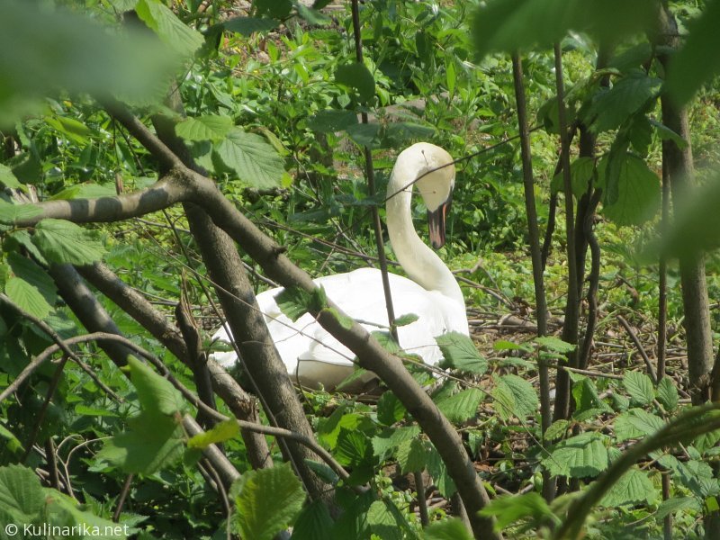 Fužinski utrinki - 2016