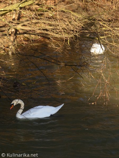 Fužinski utrinki - 2016