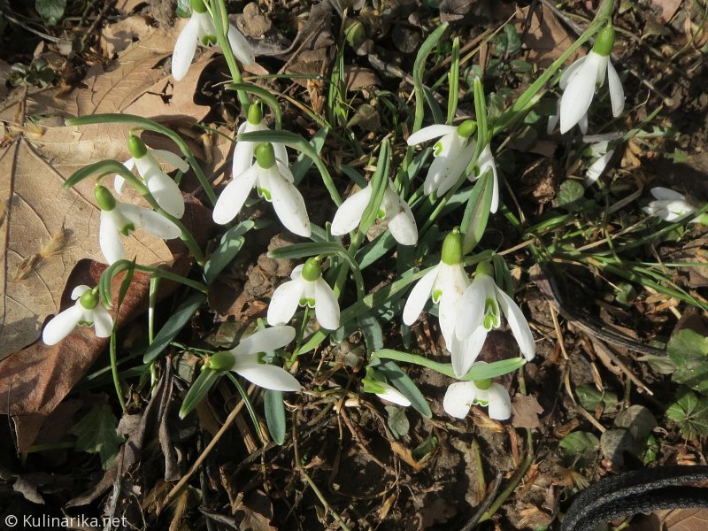 Fužinski utrinki - 2016