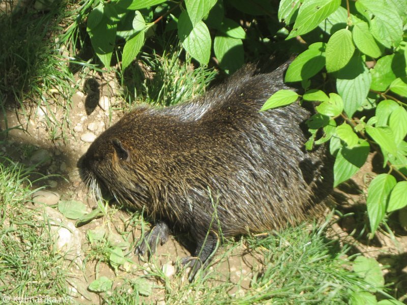Fužinski utrinki - 2016