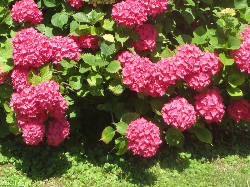 Fužinski utrinki - 2016