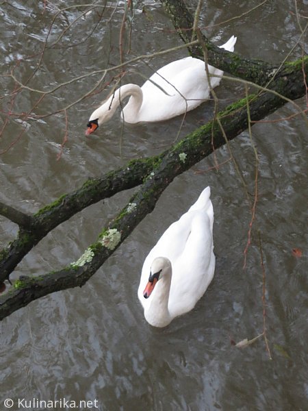 Fužinski utrinki - 2016