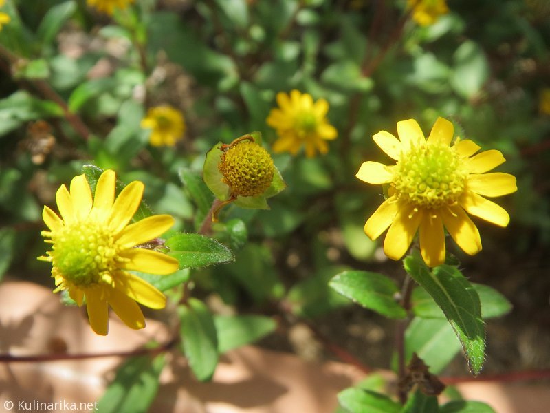 Fužinski utrinki - 2016