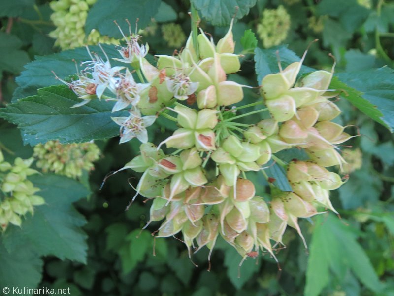 Fužinski utrinki - 2016