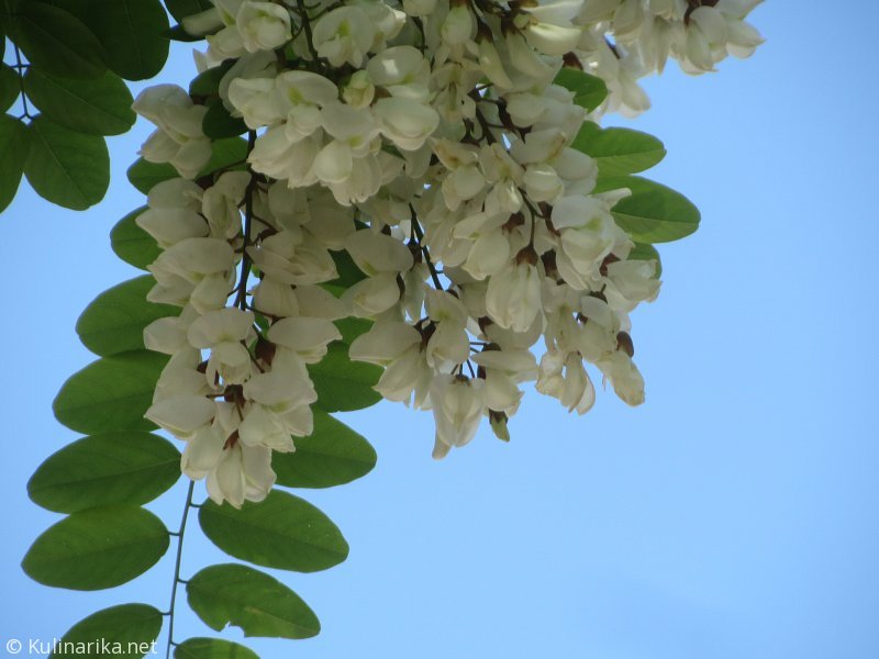 Fužinski utrinki - 2016