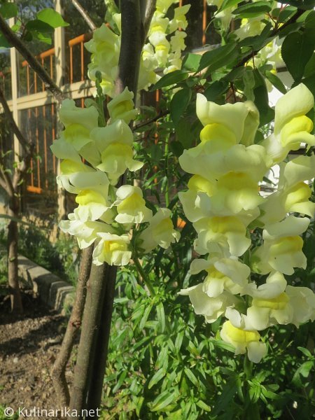 Fužinski utrinki - 2016