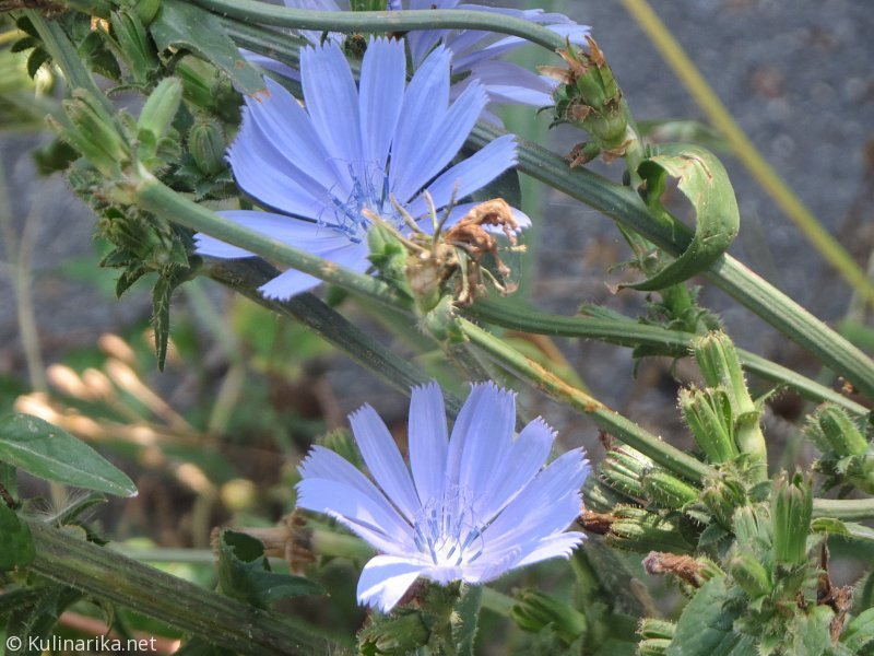 Fužinski utrinki - 2016