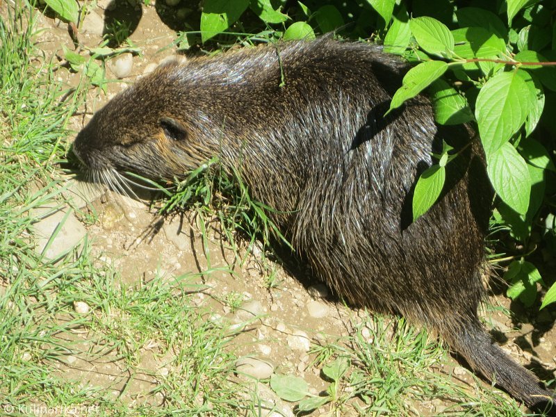 Fužinski utrinki - 2016