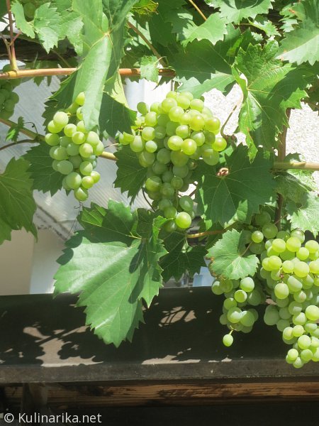 Fužinski utrinki - 2016