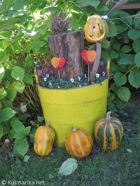 FUŽINSKI UTRINKI - 2015