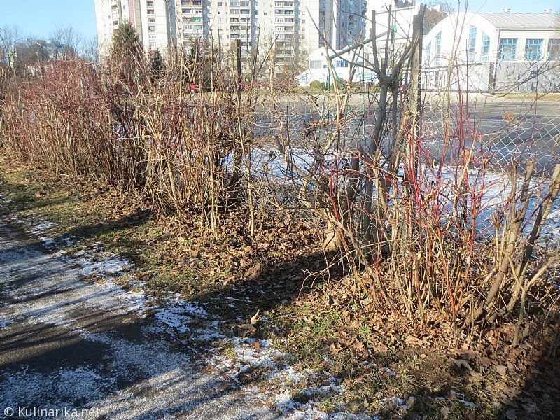 Fužinski utrinki - 2016