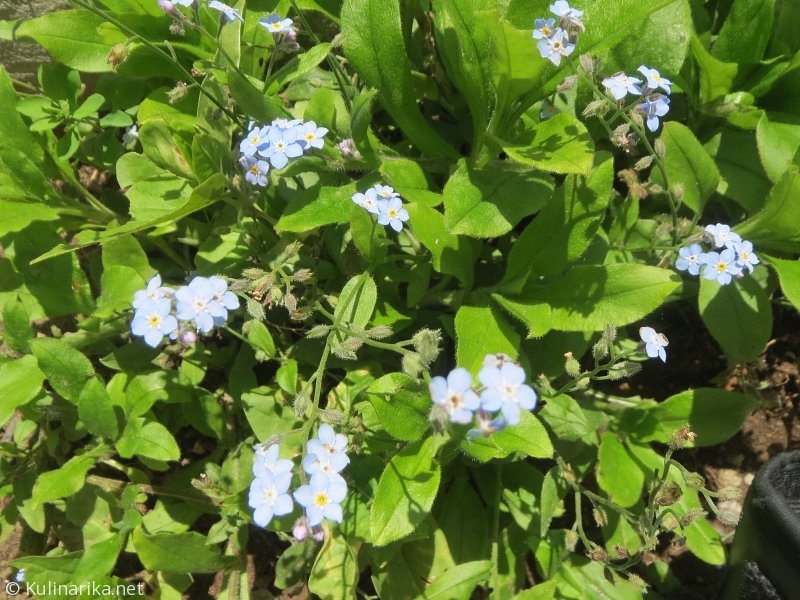 Fužinski utrinki - 2016