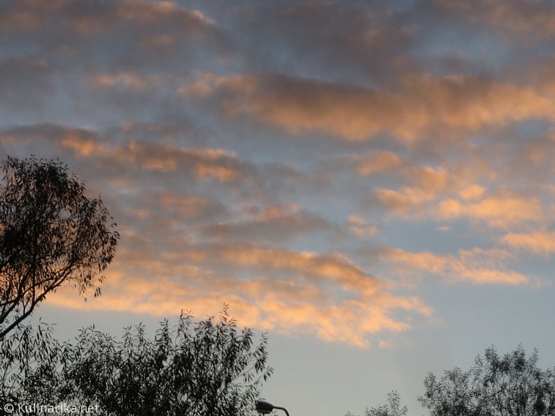 Fužinski utrinki - 2016