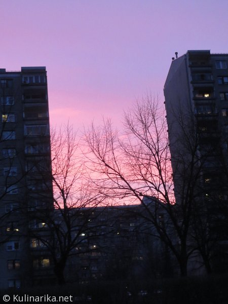 Fužinski utrinki - 2016