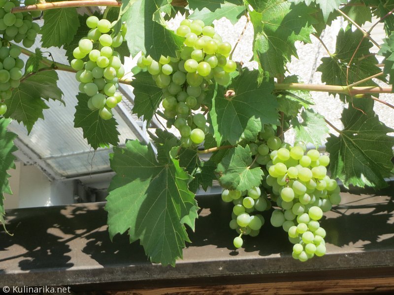 Fužinski utrinki - 2016