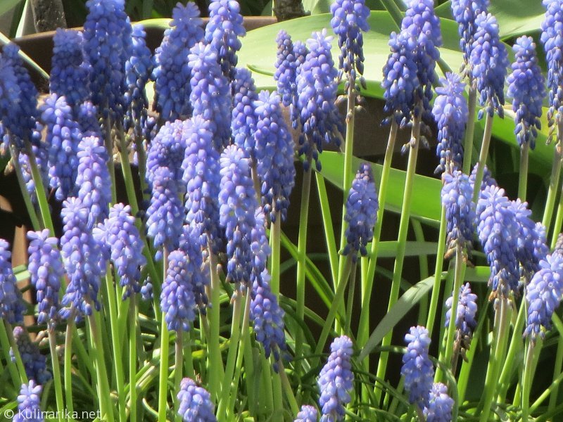 Fužinski utrinki - 2016