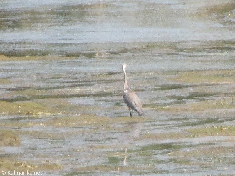 Fužinski utrinki - 2016