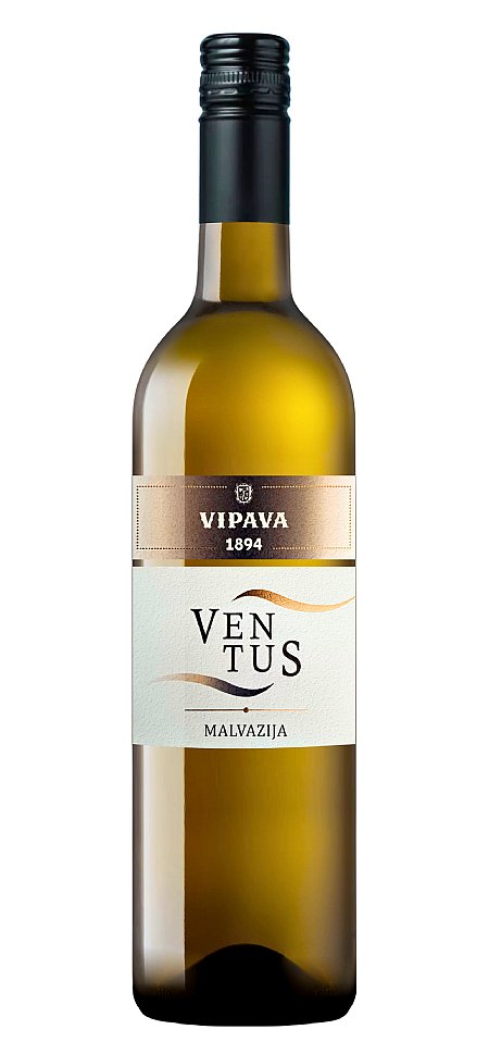 Ventus Malvazija