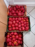 Podarjenemu konju se ne gleda v zobe