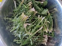 Brat je prinesel regrat namesto tulipanov za 8. marec