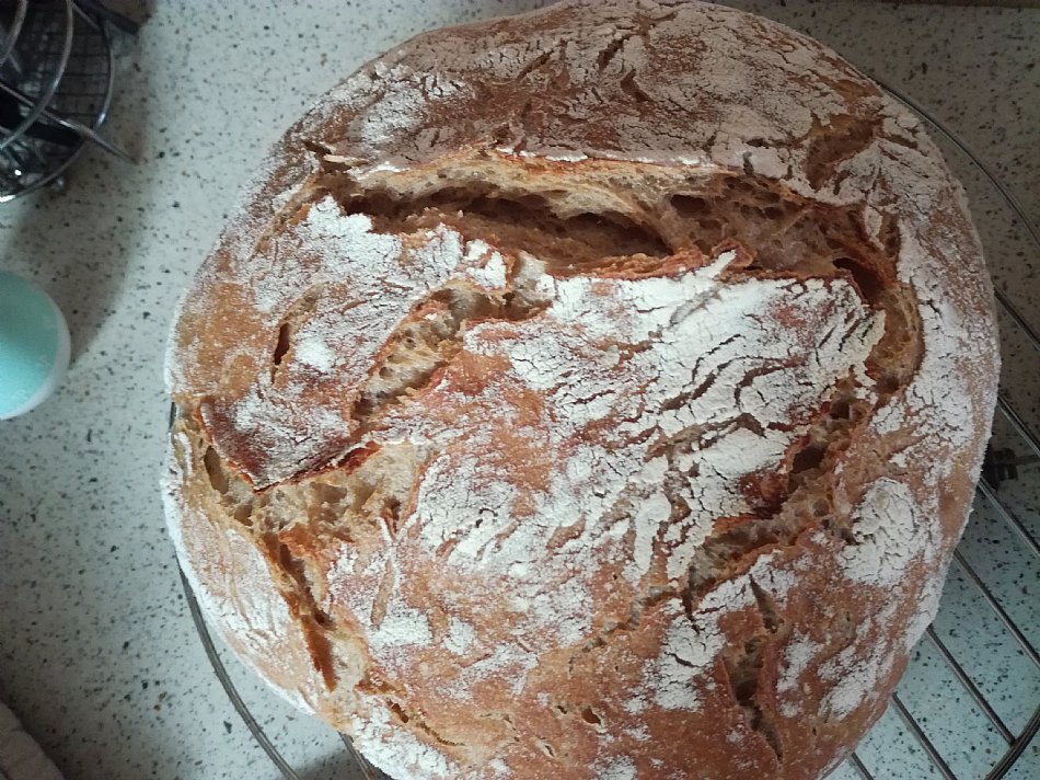 Kruh je pa kot vedno ratal