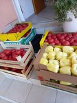 Veselo na delo