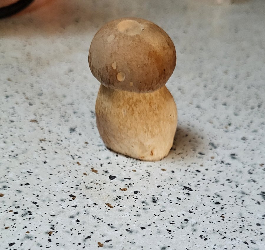 Mini jurček
