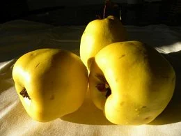 Iz Koroške na Obalo