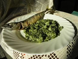 Skuša z zeljem z Lastova